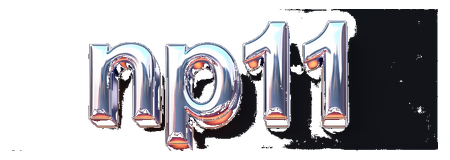 np11 logo